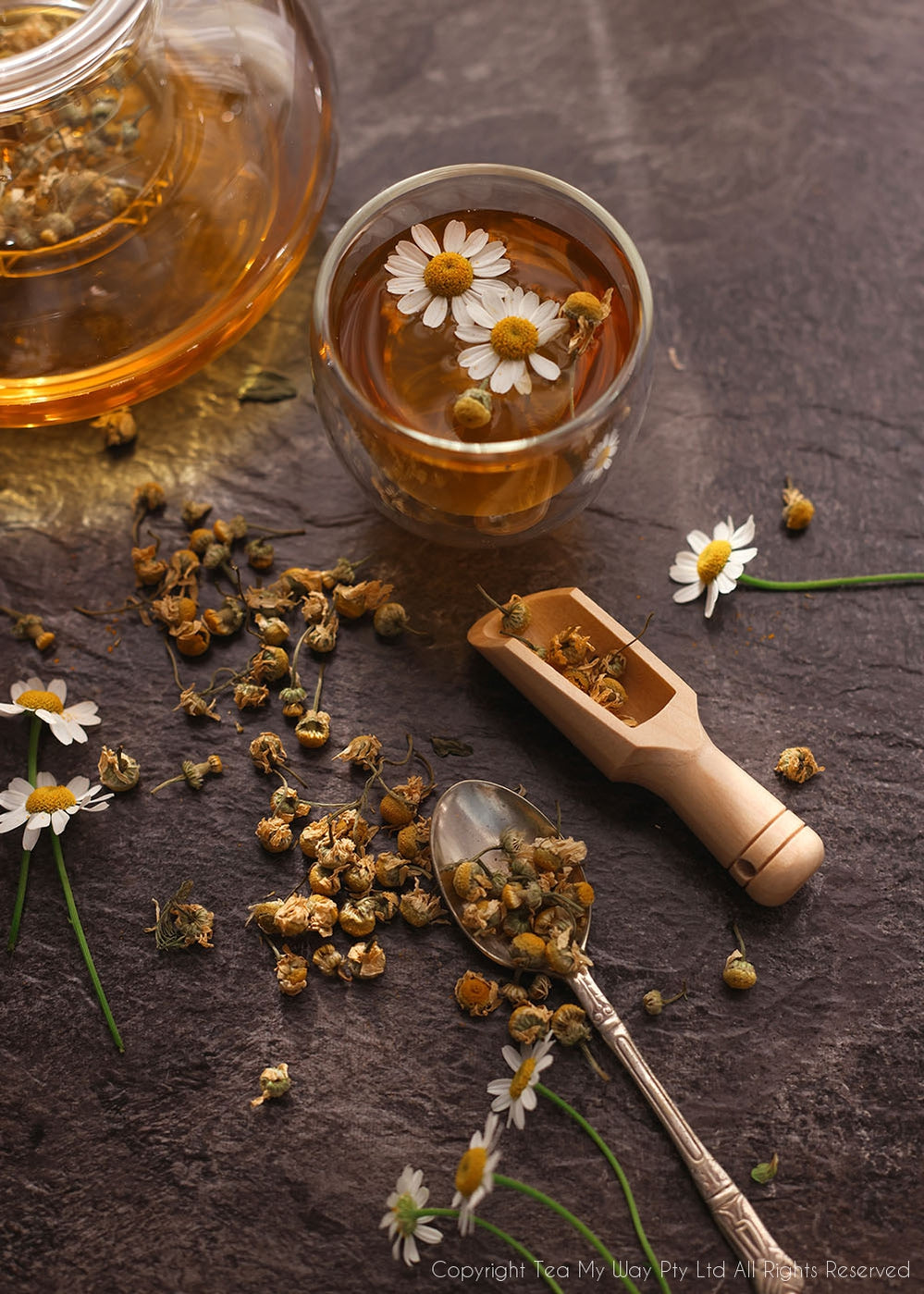 Camomile
